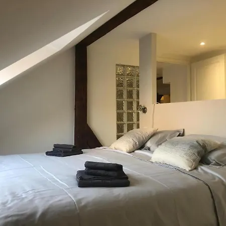 Daire L Apart 155m2 City Center 2br 2bth Up To 8 Guests Colmar