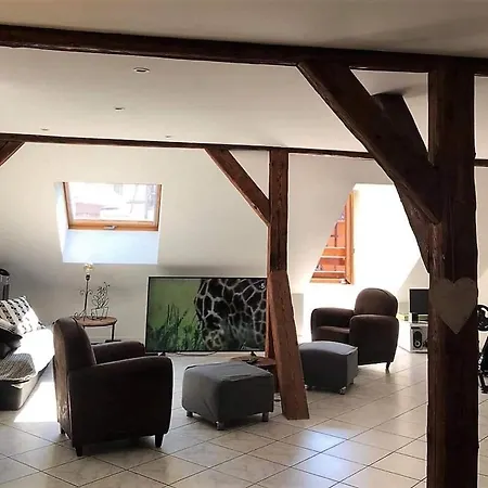 L Apart 155m2 City Center 2br 2bth Up To 8 Guests * Colmar
