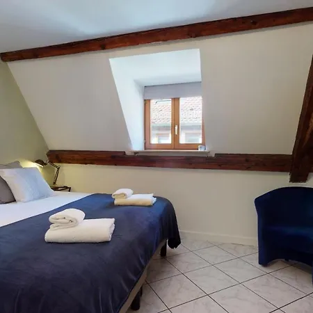 Daire L Apart 155m2 City Center 2br 2bth Up To 8 Guests Colmar